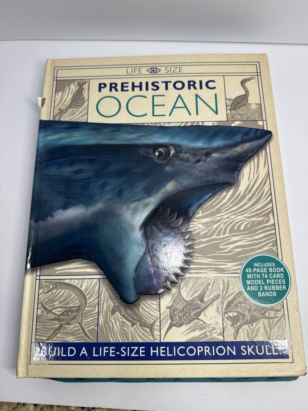 Life-Size Prehistoric Ocean Book With Buildable Helicoprion Skull Facts & Illust